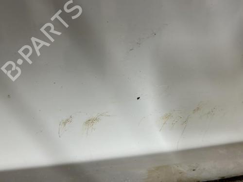 Left front door BMW 1 (E81)  | BP22118334C2 