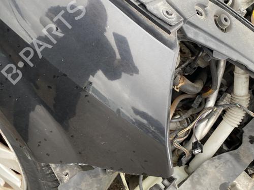 Błotnik przedni prawy RENAULT GRAND SCÉNIC II (JM0/1_) 2.0 dCi (JM1K) | BP29913649C42