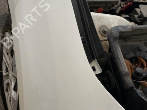 Left front fenders RENAULT MEGANE III Hatchback (BZ0/1_, B3_) 1.5 dCi (BZ09, BZ0D, BZ1W, BZ29, BZ14) | BP30462551C41