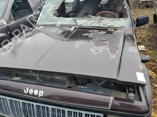Hood JEEP CHEROKEE (XJ) 2.1 TD | BP22117946C1 