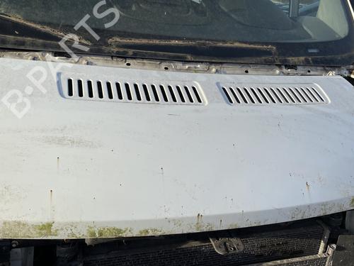 Hood FIAT DUCATO Van (250_) 150 Multijet 2,3 D | BP29969702C1