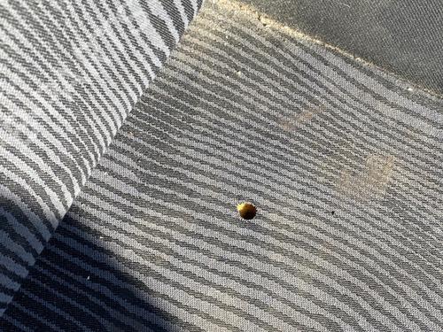 Right front seat DACIA SANDERO 1.4 (BS0C, BS0A, BS0G, BS1F, BS0E) | BP26713762C16 - Image 2