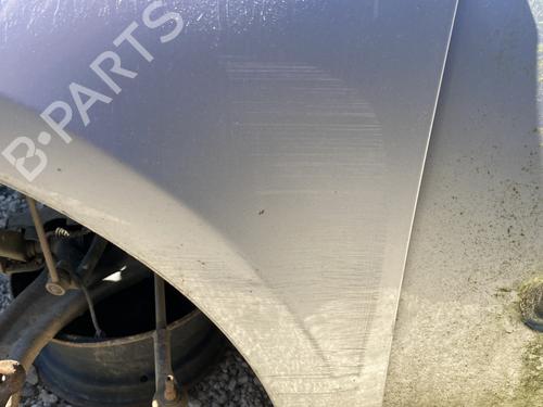 Left front fenders RENAULT CLIO III (BR0/1, CR0/1)  | BP27981921C41