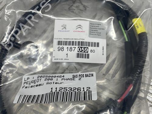 Used Wiring harness PEUGEOT 208 I (CA_, CC_) 1.6 HDi / BlueHDi 75 (75 hp) 29188628