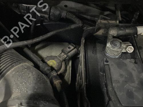 Used Brake master cylinder VW TOURAN (1T1, 1T2) 2.0 TDI (136 hp) 31953902