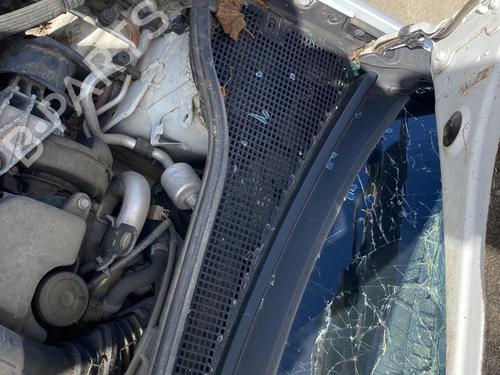 Scuttle panel RENAULT CLIO III (BR0/1, CR0/1) 1.5 dCi (C/BR0G, C/BR1G) | BP29422454C110 
