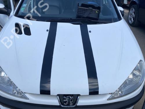Used Hood PEUGEOT 206 Hatchback (2A/C) 1.6 i (89 hp) 25890560