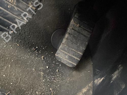Used Pedal RENAULT LAGUNA II (BG0/1_) 1.9 dCi (BG1A, BG1W, BG0G) (110 hp) 30969735