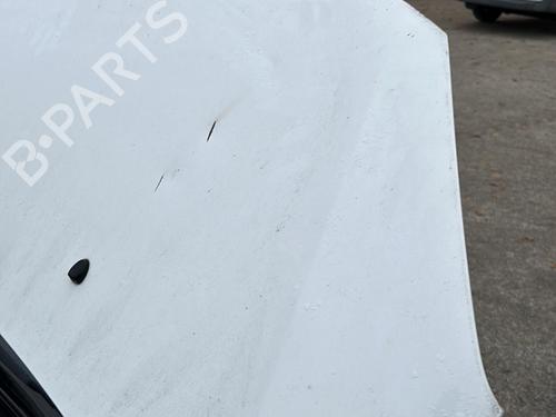Hood CITROËN C3 II (SC_) 1.4 HDi 70 (SC8HZC, SC8HR0, SC8HP4) | BP22114774C1 