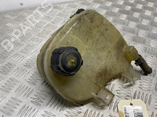 Used Expansion tank RENAULT AVANTIME (DE0_) 2.2 dCi (DE01) (150 hp) 30326791