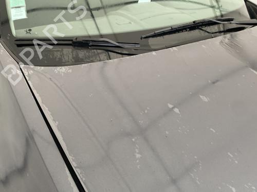 Panser RENAULT MEGANE II (BM0/1_, CM0/1_) 1.6 16V (BM0C, CM0C) | BP29115550C1