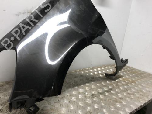 Left front fenders RENAULT CLIO III (BR0/1, CR0/1)  | BP21808711C41