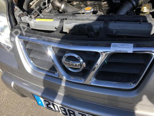 Grill NISSAN X-TRAIL I (T30) 2.2 Di 4x4 | BP19913939C40 