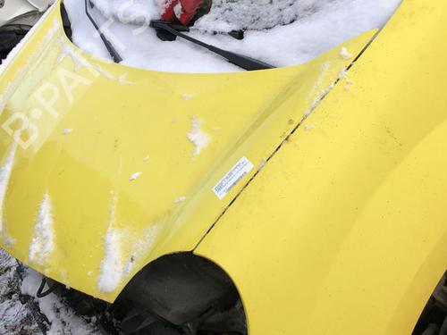 Used Hood Hood RENAULT KANGOO Express (FW0/1_) 1.5 dCi 70 (FW0A, KW0V) (68 hp) 21663173 21663173