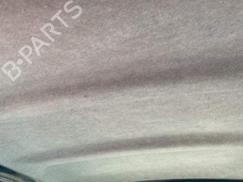 Interiør tag RENAULT KANGOO (KC0/1_) D 65 1.9 (KC0E, KC02, KC0J, KC0N) (64 hp) 30133055