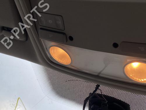 Used Interior roof light Interior roof light VW PASSAT B6 Variant (3C5) 1.9 TDI (105 hp) 22358419 22358419