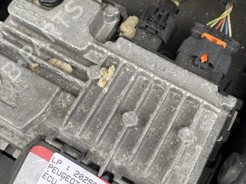 Used Start/Stop ECU Start/Stop ECU PEUGEOT 2008 I (CU_) 1.2 THP 110 / PureTech 110 (110 hp) 31129164 31129164