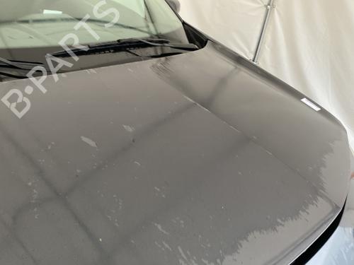 Panser RENAULT MEGANE II (BM0/1_, CM0/1_) 1.6 16V (BM0C, CM0C) | BP29115550C1