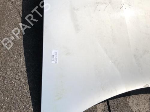 Used Hood RENAULT VEL SATIS (BJ0_) 3.0 dCi (BJ0J, BJ0N) (177 hp) 22111701