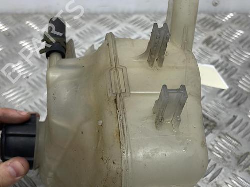 Used Expansion tank RENAULT MEGANE III Hatchback (BZ0/1_, B3_) 1.5 dCi (86 hp) 19904959