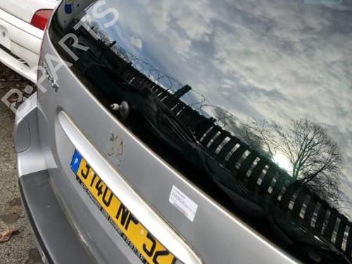 Bakluke CC/Kombi-Kupé PEUGEOT 307 SW (3H)  | BP19910459C6 
