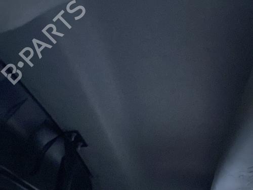 Interior roof RENAULT KANGOO Express (FW0/1_) 1.5 dCi 95 (FW16) | BP29959020I12