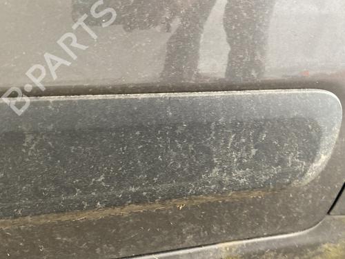 Door moulding trim FIAT PANDA (312_, 319_) 1.2 (312PXA1A) | BP29732311C150