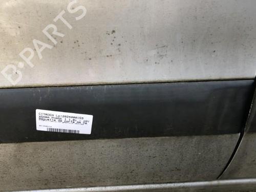 Door moulding trim CITROËN XSARA (N1)  | BP22118955C150 