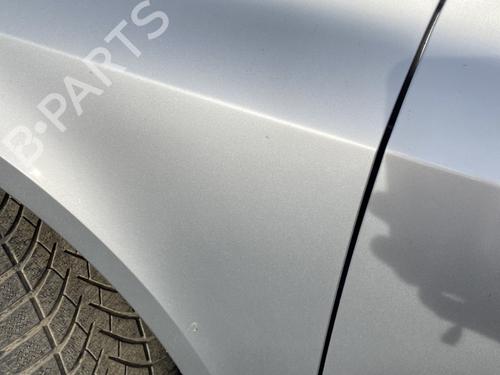 Left front fenders RENAULT LAGUNA II (BG0/1_) 2.0 16V (BG00, BG0K, BG0P, BG0W) | BP30133245C41