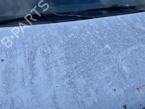 Hood RENAULT MASTER II Van (FD) 2.8 dTI (FD0C, FD0F, FD2B, FD2F, FD3C, FD3F) | BP29925255C1