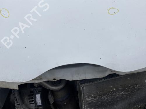 Hood CITROËN C1 (PM_, PN_) 1.0 | BP24538427C1