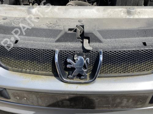 Used Grille PEUGEOT 406 (8B) 1.8 16V (116 hp) 25132060