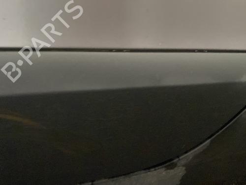 Used Door moulding trim Door moulding trim RENAULT SCÉNIC III (JZ0/1_) 1.5 dCi (JZ02, JZ0R) (95 hp) 31919192 31919192