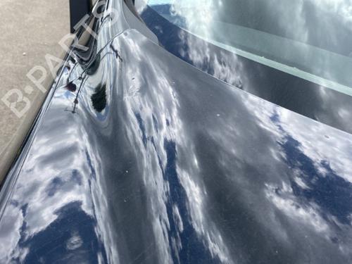 Hood RENAULT SCÉNIC III (JZ0/1_) 1.5 dCi (JZ02, JZ0R) | BP19907031C1