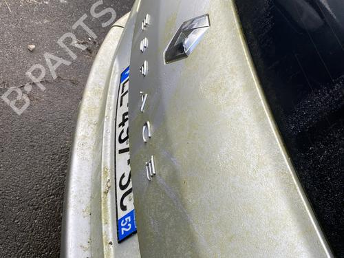 Tailgate RENAULT ESPACE IV (JK0/1_) 2.0 dCi (JK01, JK02, JK1J, JK1K, JK1H) | BP30646557C6