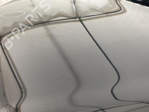 hood-renault-koleos-i-hy_-2008-31977645 main image