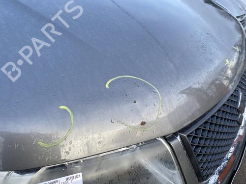 Hood SUZUKI GRAND VITARA II (JT, TE, TD) 1.9 DDiS All-wheel Drive (JT419, TD44, JB419WD, JB419XD,... | BP31908847C1 