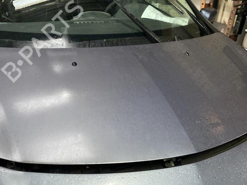 Hood RENAULT CLIO III (BR0/1, CR0/1) 1.5 dCi (BR17, CR17) | BP23845683C1 