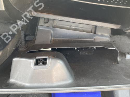 Glove box FIAT BRAVO II (198_) 1.6 D Multijet (198AXL1B) | BP26557505C95 