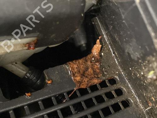 Used Servo brake Servo brake OPEL MERIVA A MPV (X03) 1.6 (E75) (105 hp) 29142999 29142999