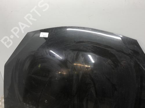 hood-dacia-sandero-2008-22111823 main image