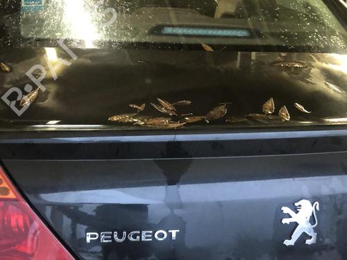 tailgate-peugeot-407-coupe-6c_-27-hdi-860686-2005-19913559 main image