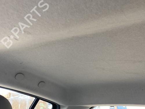 Used Interior roof RENAULT CLIO III (BR0/1, CR0/1) 1.5 dCi (BR17, CR17) (86 hp) 30816866