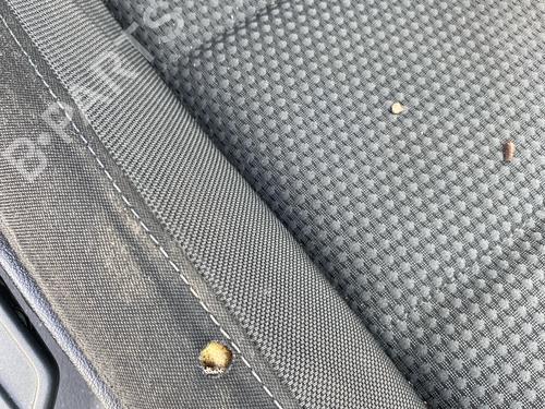 Right front seat VW GOLF VI (5K1) | BP34220593C16 - Image 3