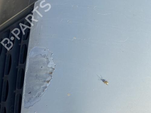 Hood RENAULT CLIO II (BB_, CB_) 1.5 dCi (B/CB07) | BP27989125C1 