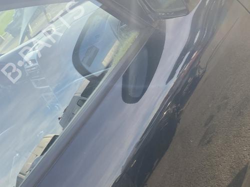 Right front door HYUNDAI SANTA FÉ II (CM) 2.2 CRDi GLS 4x4 | BP30133173C3