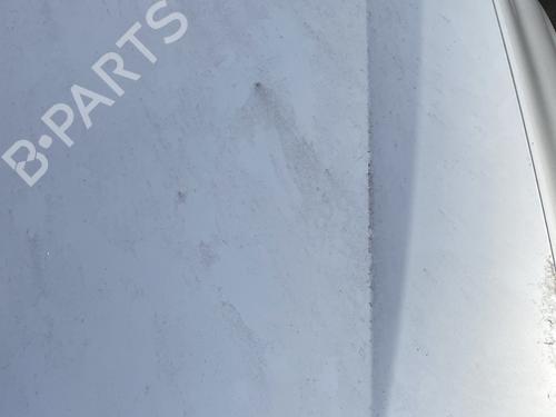 Hood RENAULT LAGUNA II (BG0/1_) 2.0 16V (BG00, BG0K, BG0P, BG0W) | BP30133250C1