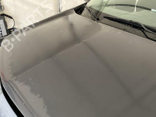 Panser RENAULT MEGANE II (BM0/1_, CM0/1_) 1.6 16V (BM0C, CM0C) | BP29115550C1