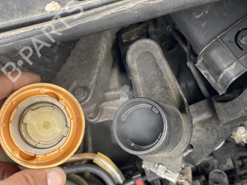 Engine RENAULT AVANTIME (DE0_) 2.2 dCi (DE01) | BP29748577M1