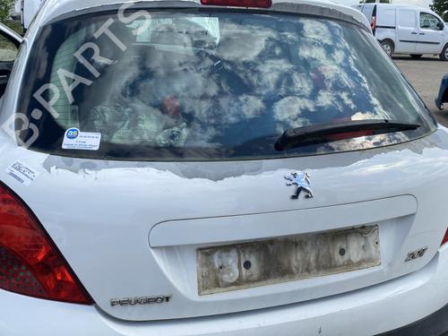 Used Tailgate PEUGEOT 207 (WA_, WC_) 1.4 HDi (68 hp) 25820493